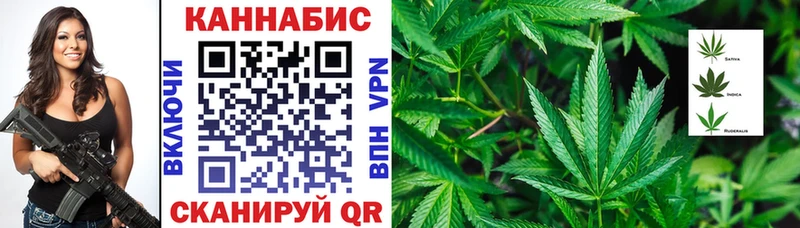Конопля тримм  сколько стоит  мориарти состав  Качканар 